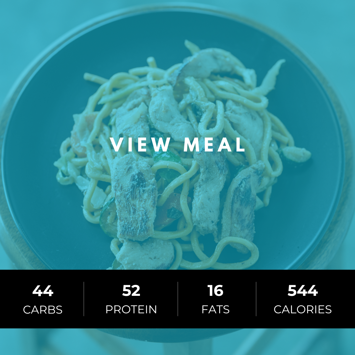Chicken Chow Mein (Performance)
