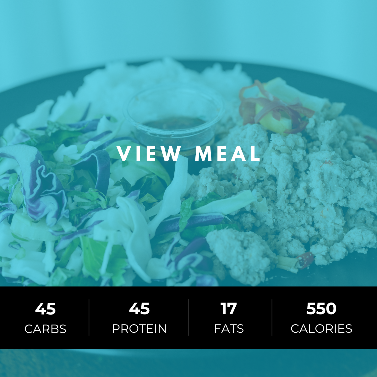 Vietnamese Pork Bowl (Performance)