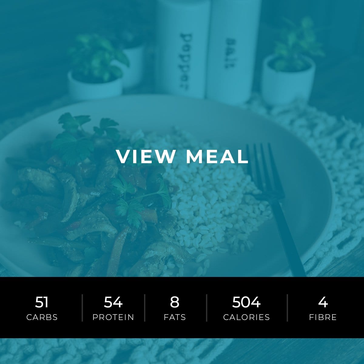 Chicken Stir Fry (Performance)