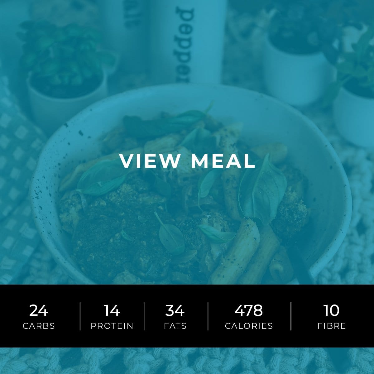 Vegetarian Pesto Pasta (Performance)