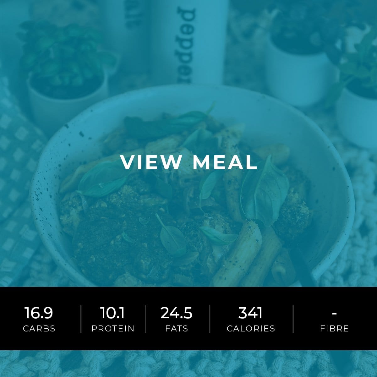 Vegetarian Pesto Pasta (Shred)