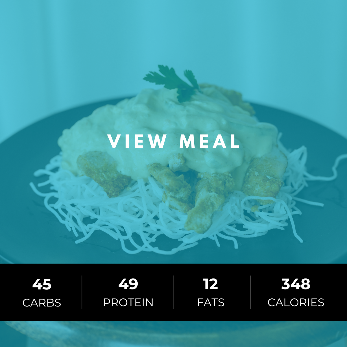 Thai Green Chicken Noodles (Performance)